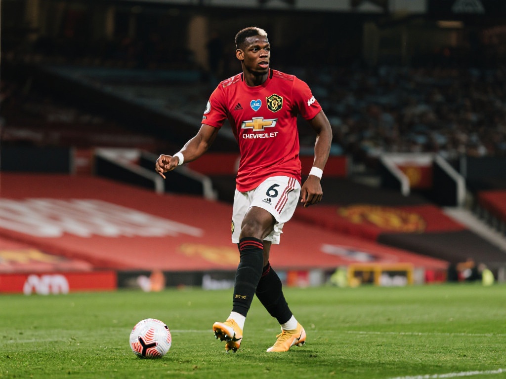 一周后进行 一周后进行