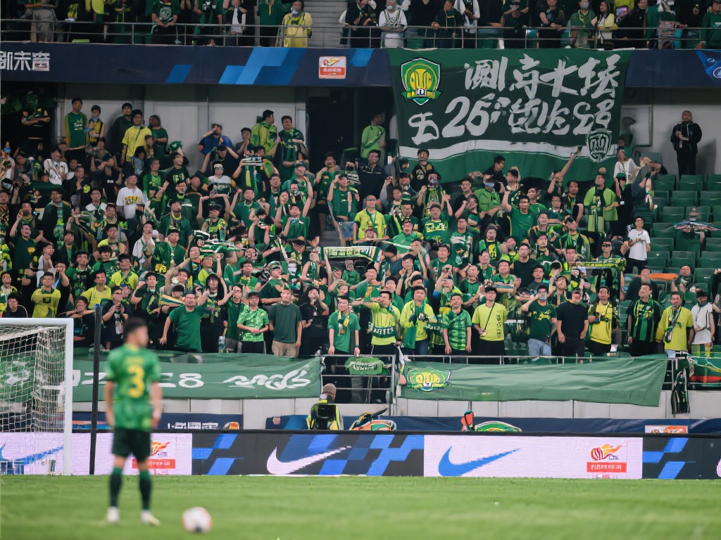 个在球场上 个在球场上